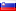 Slovenian Slovenian flag